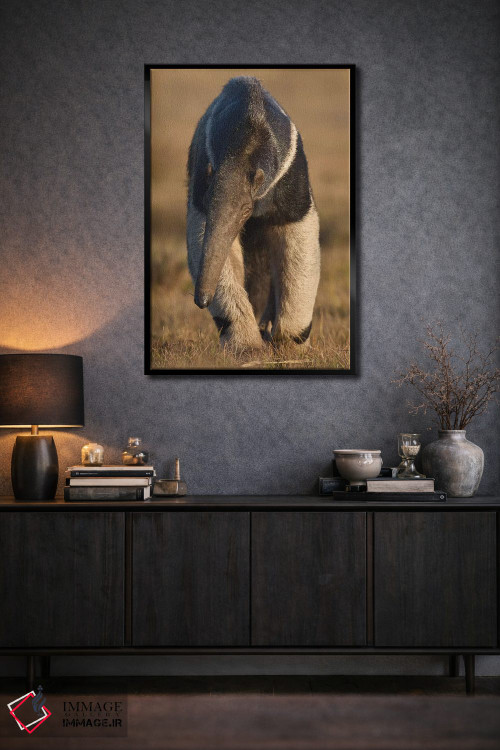 تابلو دکوراتیو مورچه خورک غول پیکر پانتانال اثر موگنس تروله - D2B