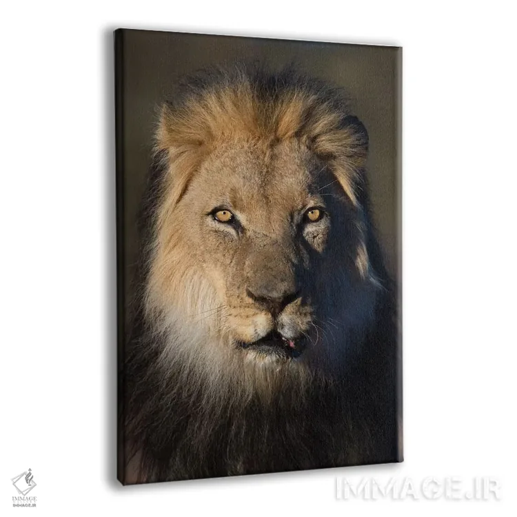 تابلو دکوراتیو شیر با یال سیاه اثر موگنس تروله - نمای پرسپکتیو محصول