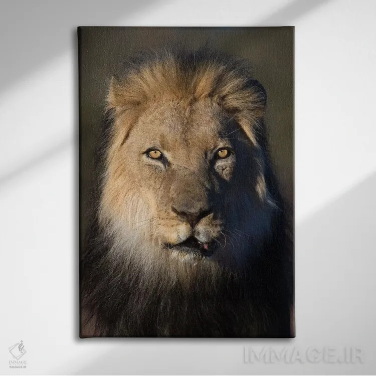 تابلو دکوراتیو شیر با یال سیاه اثر موگنس تروله - نمای روبهرو روی دیوار