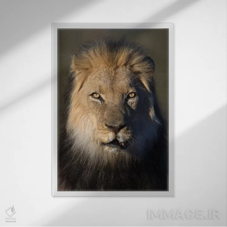 تابلو دکوراتیو شیر با یال سیاه اثر موگنس تروله - نمای قابدار سفید