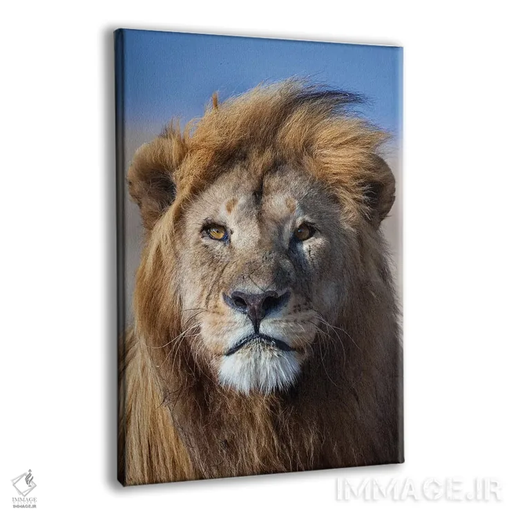 تابلو دکوراتیو شیر با یال طلایی اثر موگنس تروله - نمای پرسپکتیو محصول