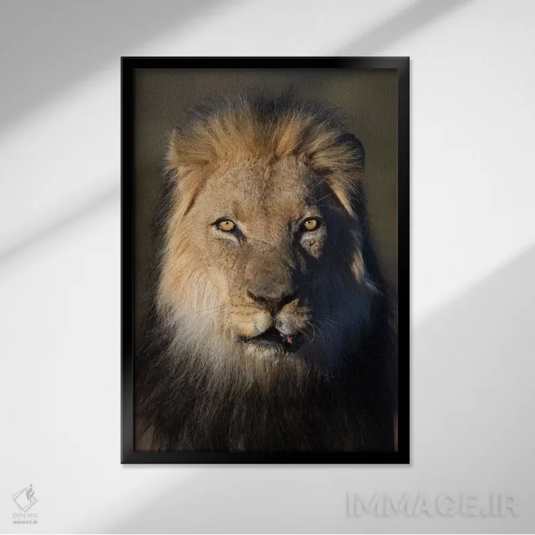 تابلو دکوراتیو شیر با یال سیاه اثر موگنس تروله - نمای قابدار مشکی