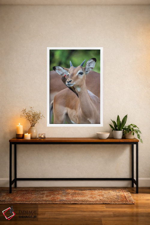 تابلو دکوراتیو ایمپالای نر جوان و اکس پکر اثر موگنس تروله - D2W