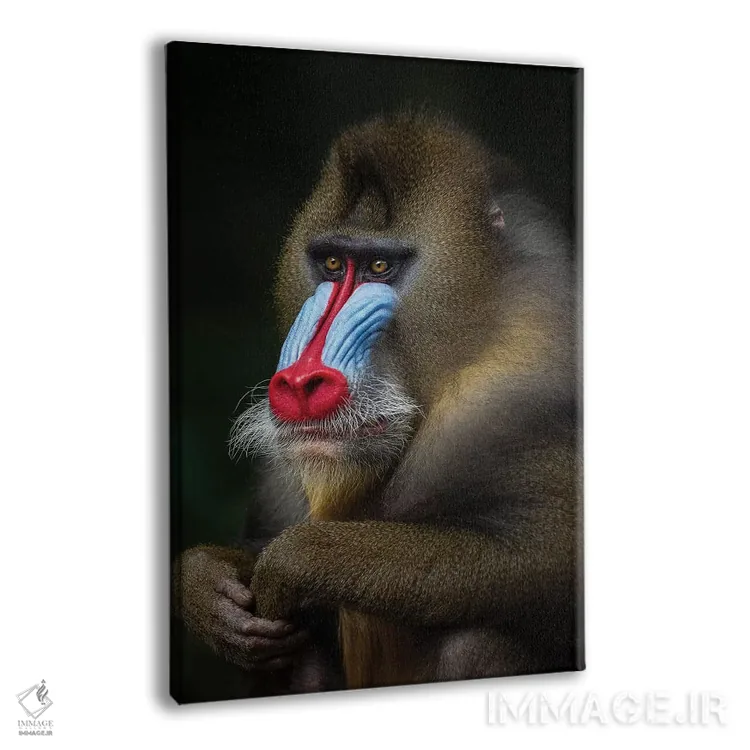 تابلو دکوراتیو مندرل ژست گرفته اثر موگنس تروله - نمای پرسپکتیو محصول