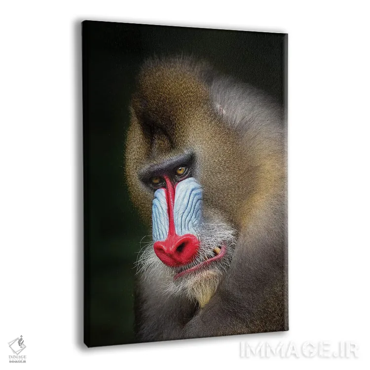 تابلو دکوراتیو غرش مندرل اثر موگنس تروله - نمای پرسپکتیو محصول