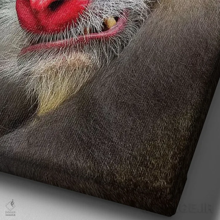 تابلو دکوراتیو غرش مندرل اثر موگنس تروله - نمای نزدیک بافت بوم