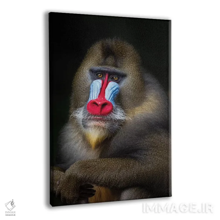 تابلو دکوراتیو مندرل ژست گرفته ۲ اثر موگنس تروله - نمای پرسپکتیو محصول