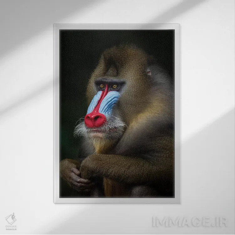 تابلو دکوراتیو مندرل ژست گرفته اثر موگنس تروله - نمای قابدار سفید