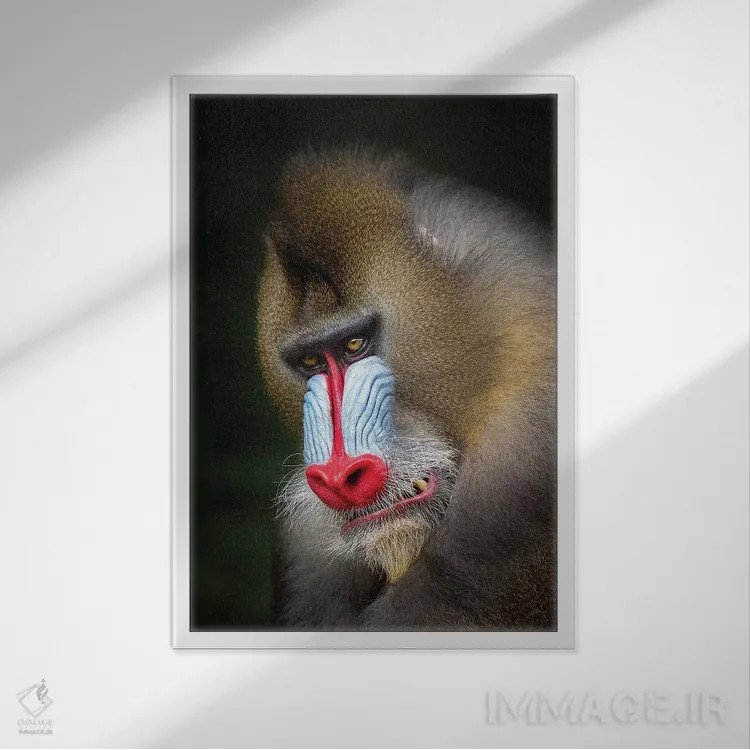 تابلو دکوراتیو غرش مندرل اثر موگنس تروله - نمای قابدار سفید