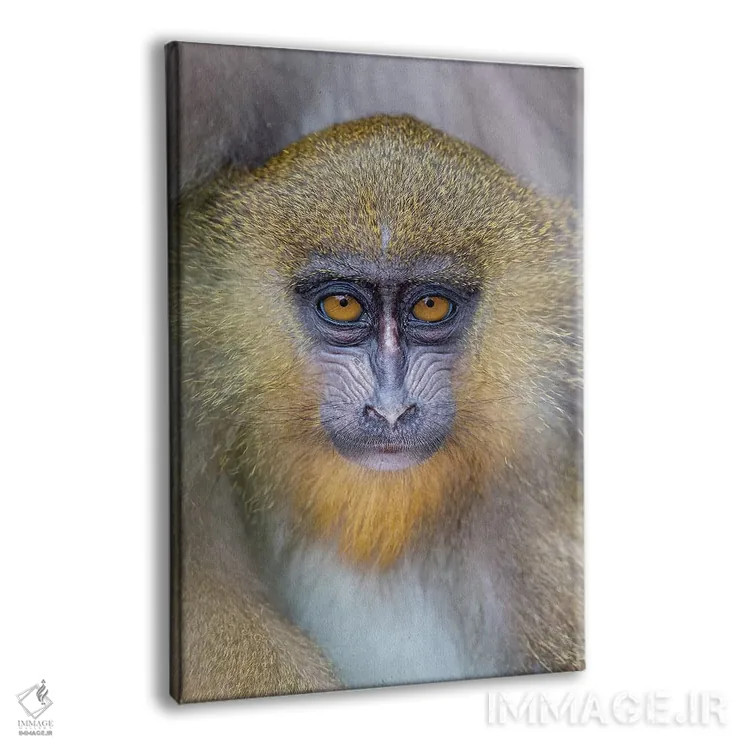 تابلو دکوراتیو مندرل جوان اثر موگنس تروله - نمای پرسپکتیو محصول