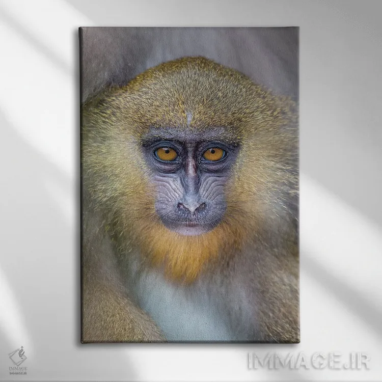 تابلو دکوراتیو مندرل جوان اثر موگنس تروله - نمای روبهرو روی دیوار