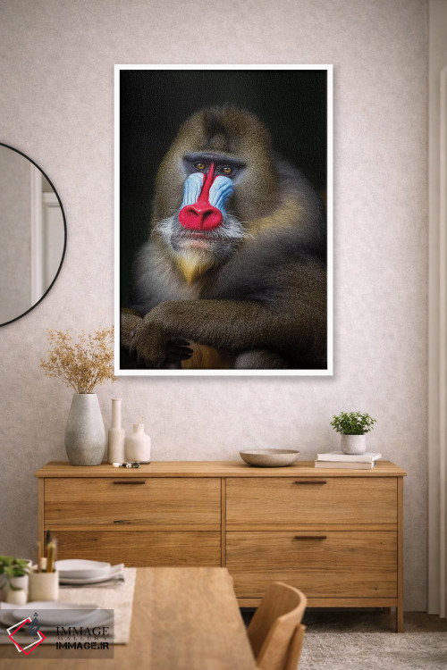 تابلو دکوراتیو مندرل ژست گرفته ۲ اثر موگنس تروله - D1W