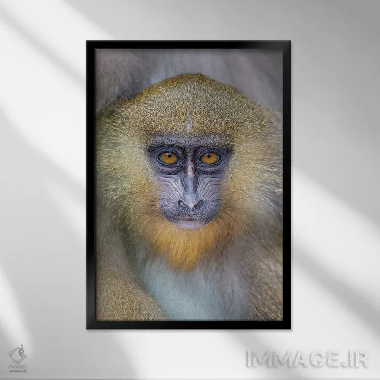 تابلو دکوراتیو مندرل جوان اثر موگنس تروله - نمای قابدار مشکی