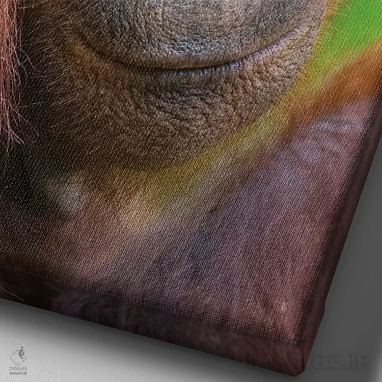 تابلو دکوراتیو اورانگوتان ماده با چهره دوستانه بورنئو اثر موگنس تروله - نمای نزدیک بافت بوم