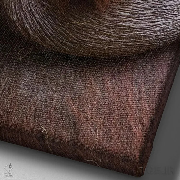 تابلو دکوراتیو لبخند اورانگوتان نر بورنئو اثر موگنس تروله - نمای نزدیک بافت بوم