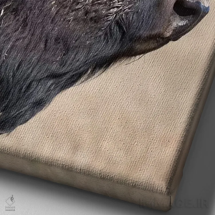 تابلو دکوراتیو نمای نیم رخ گاومیش آمریکایی پارک گرند تیتون اثر موگنس تروله - نمای نزدیک بافت بوم