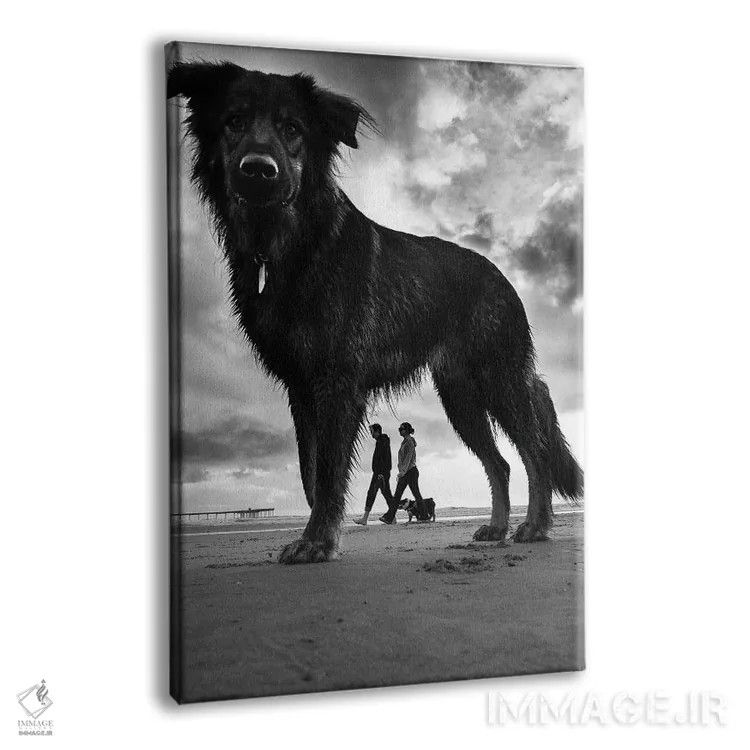 تابلو دکوراتیو سگ ها شماره ۲ اثر موایسس لوی - نمای پرسپکتیو محصول