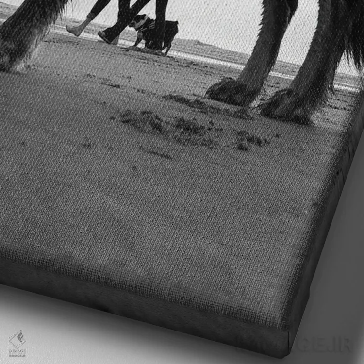 تابلو دکوراتیو سگ ها شماره ۲ اثر موایسس لوی - نمای نزدیک بافت بوم