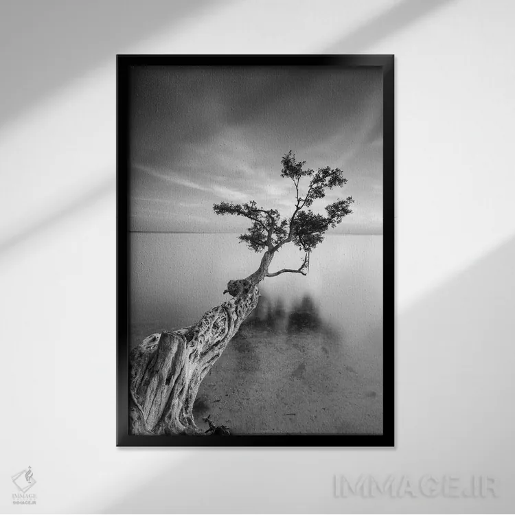 تابلو دکوراتیو درخت آب پنج اثر موایسس لوی - نمای قابدار مشکی