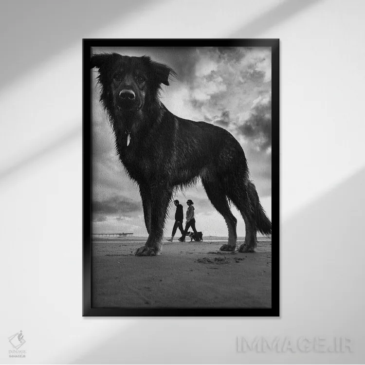 تابلو دکوراتیو سگ ها شماره ۲ اثر موایسس لوی - نمای قابدار مشکی