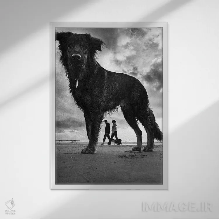 تابلو دکوراتیو سگ ها شماره ۲ اثر موایسس لوی - نمای قابدار سفید