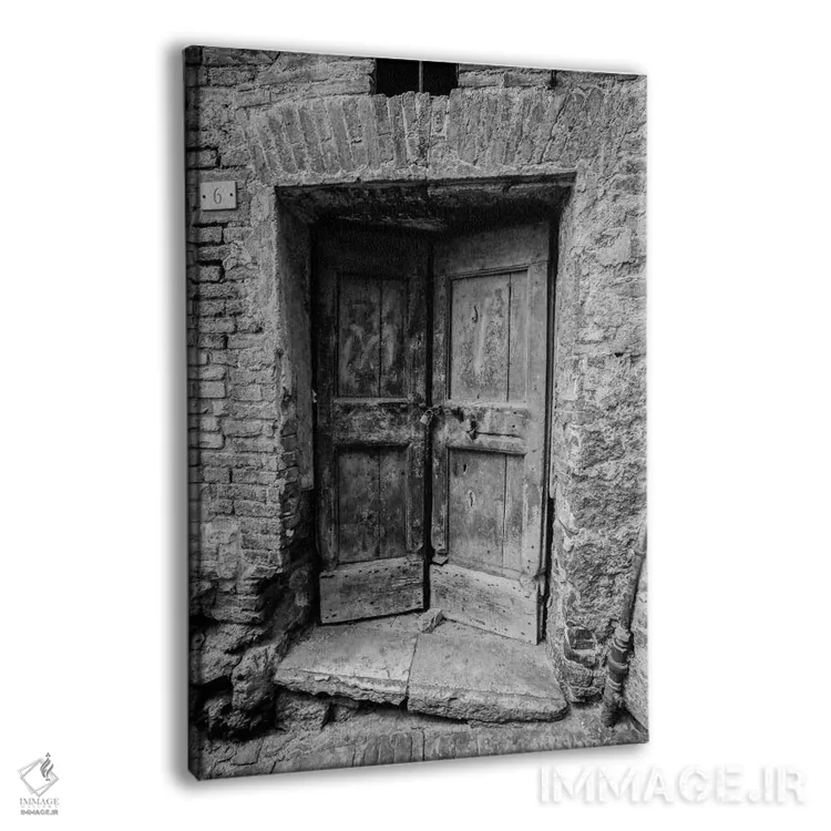 تابلو دکوراتیو در سیه نا اثر موایسس لوی - نمای پرسپکتیو محصول