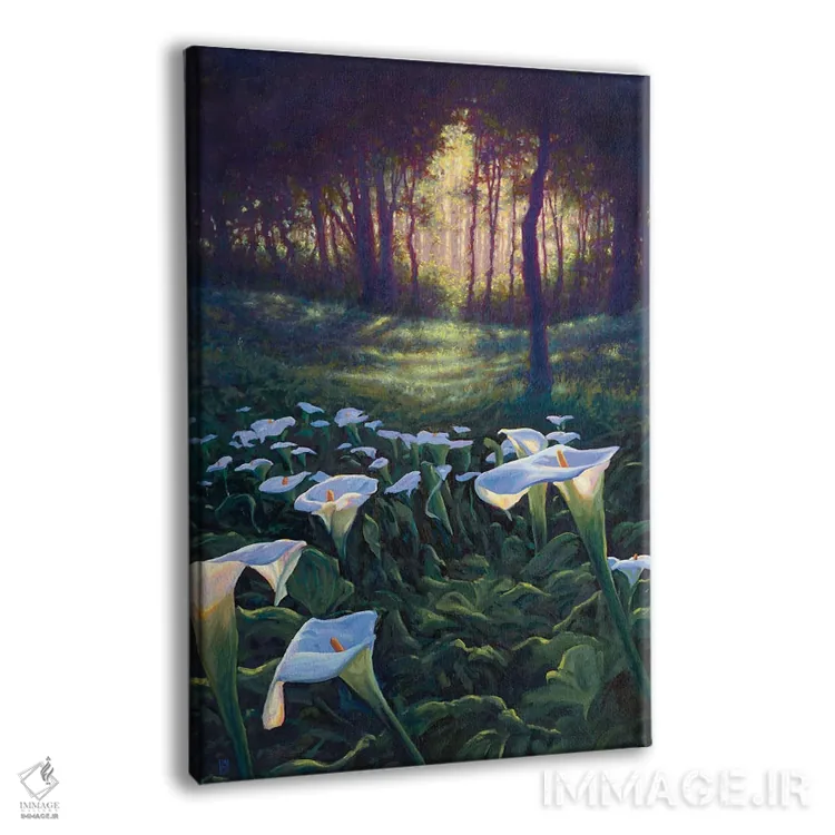 تابلو دکوراتیو مسیر زانتدشیا - گل های کالا اثر مایکل اورویک - نمای پرسپکتیو محصول