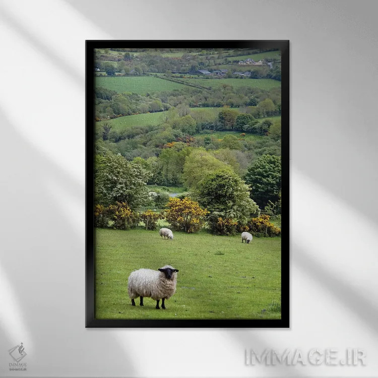 تابلو دکوراتیو Dingle Peninsula, County Kerry, Munster Province, Republic… اثر مریلین پارور - نمای قابدار مشکی