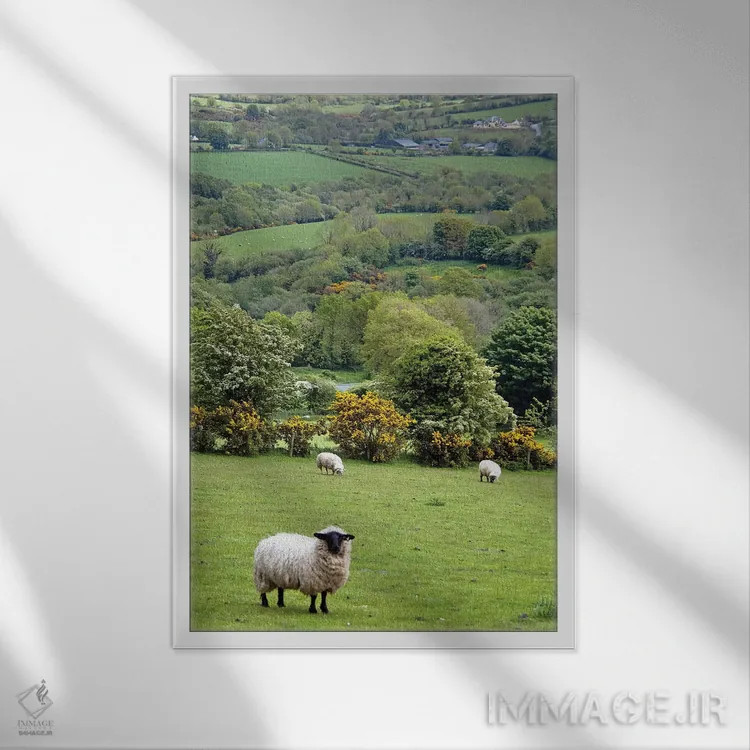 تابلو دکوراتیو Dingle Peninsula, County Kerry, Munster Province, Republic… اثر مریلین پارور - نمای قابدار سفید