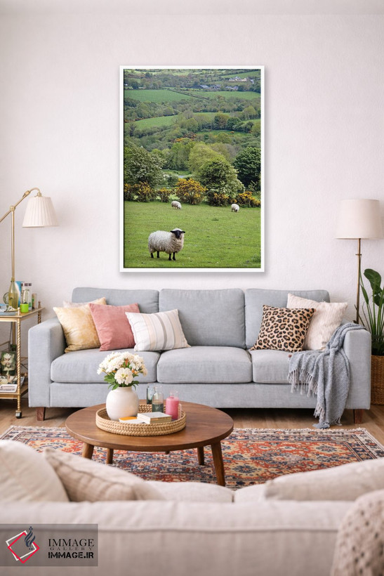 تابلو دکوراتیو Dingle Peninsula, County Kerry, Munster Province, Republic… اثر مریلین پارور - D1W