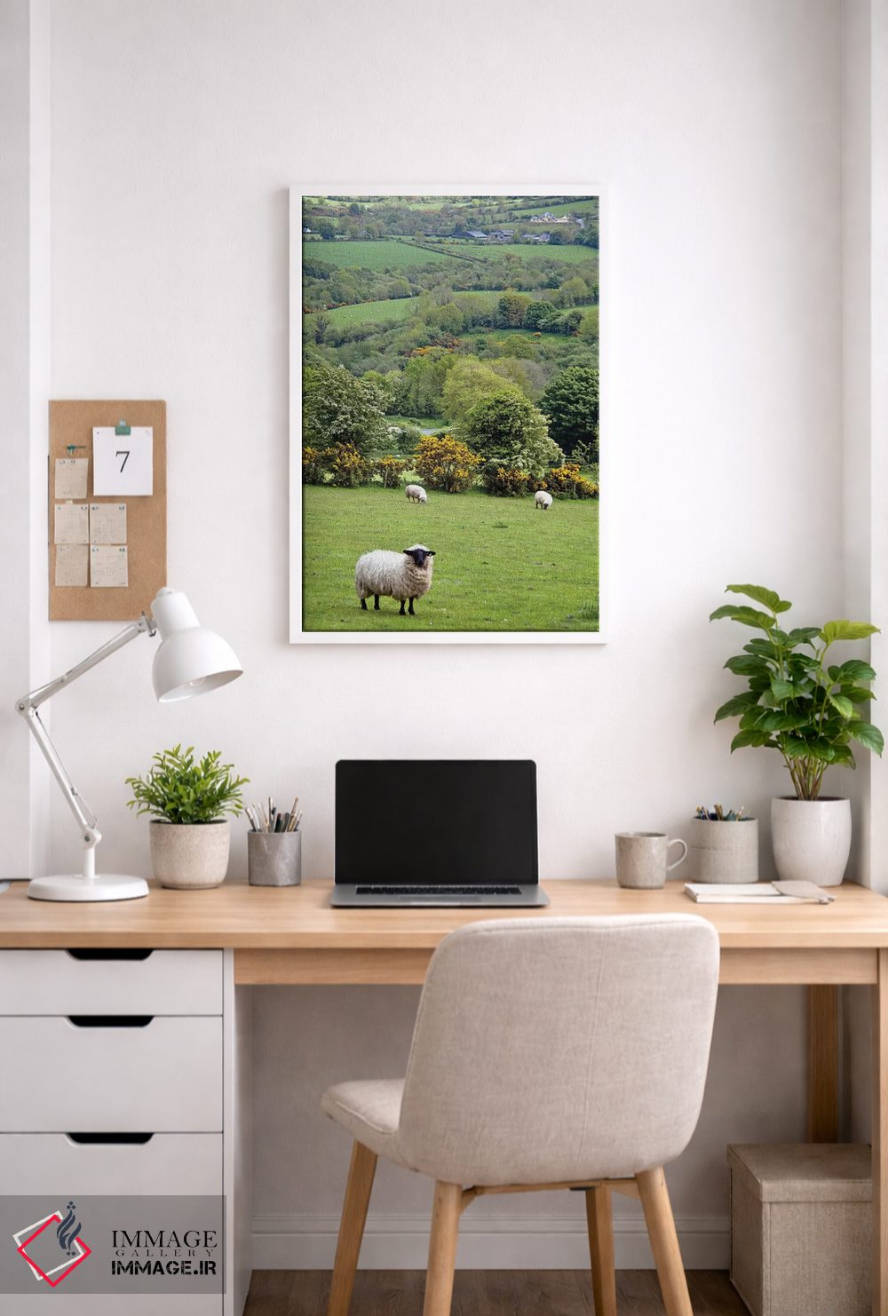 تابلو دکوراتیو Dingle Peninsula, County Kerry, Munster Province, Republic… اثر مریلین پارور - D3W