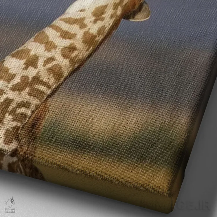 تابلو دکوراتیو Africa, Kenya, Masai Mara.,زرافه، آفریقا، کنیا، ماسایی مار… اثر مریلین پارور - نمای نزدیک بافت بوم