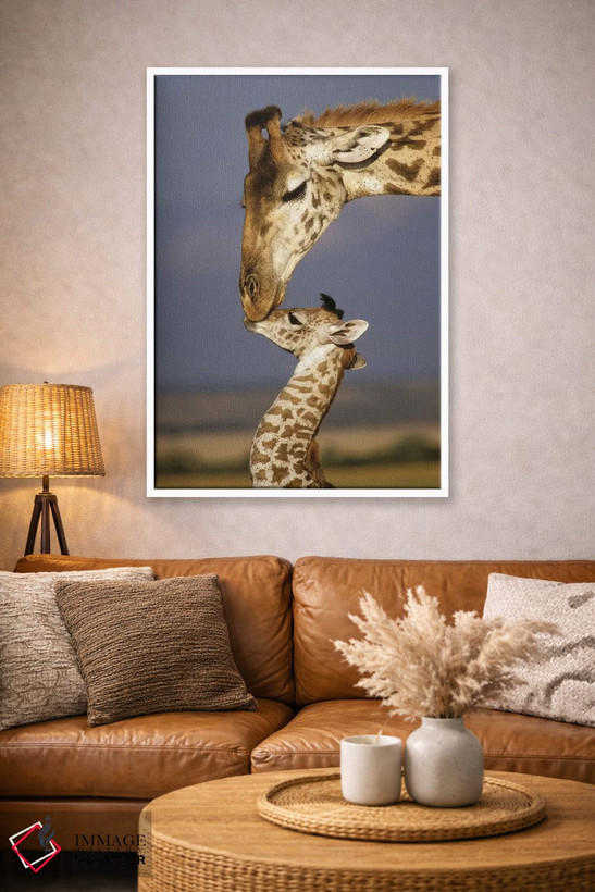 تابلو دکوراتیو Africa, Kenya, Masai Mara.,زرافه، آفریقا، کنیا، ماسایی مار… اثر مریلین پارور - D3W