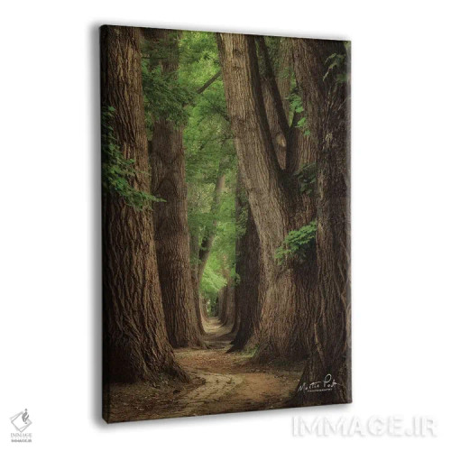 تابلو دکوراتیو جاده ها برای سفر ساخته شده اند اثر مارتین پودت - نمای پرسپکتیو محصول