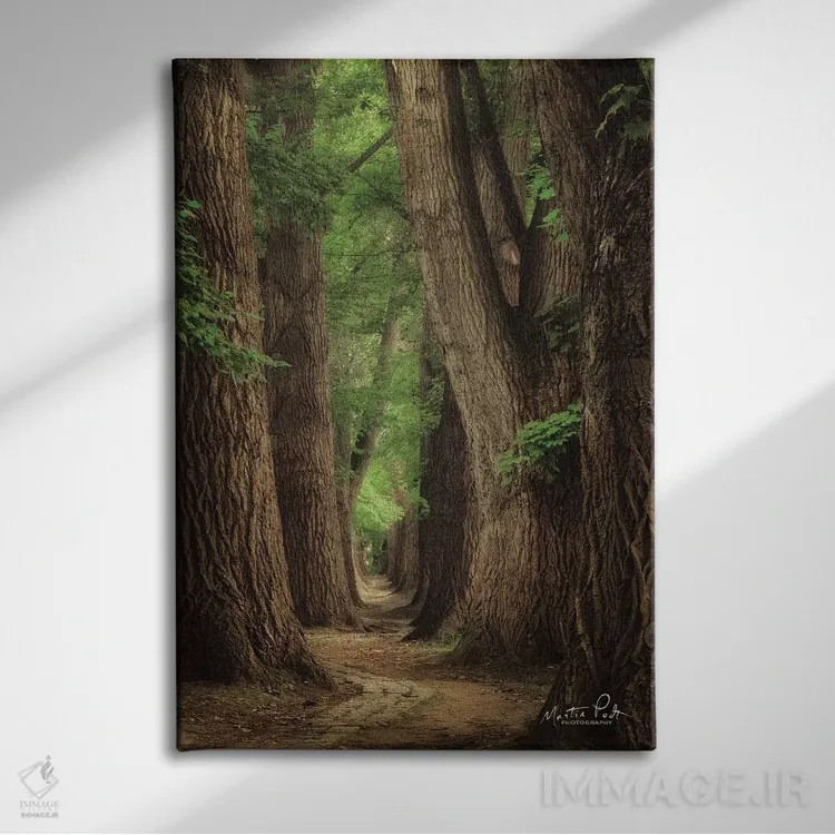 تابلو دکوراتیو جاده ها برای سفر ساخته شده اند اثر مارتین پودت - نمای روبهرو روی دیوار