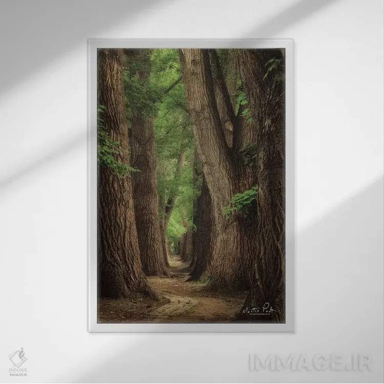 تابلو دکوراتیو جاده ها برای سفر ساخته شده اند اثر مارتین پودت - نمای قابدار سفید