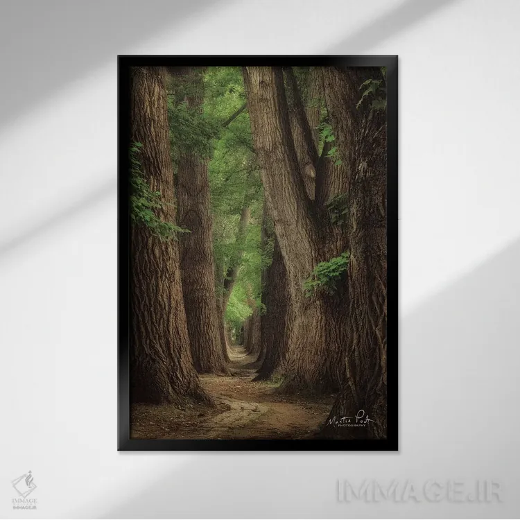 تابلو دکوراتیو جاده ها برای سفر ساخته شده اند اثر مارتین پودت - نمای قابدار مشکی