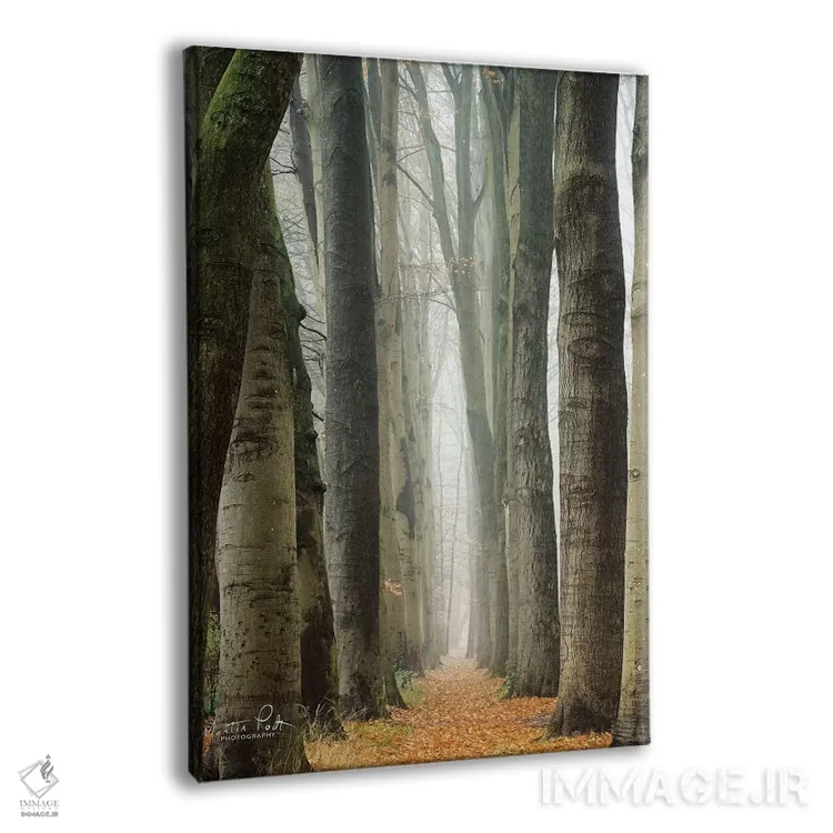 تابلو دکوراتیو کوچه باریک در هلند اثر مارتین پودت - نمای پرسپکتیو محصول