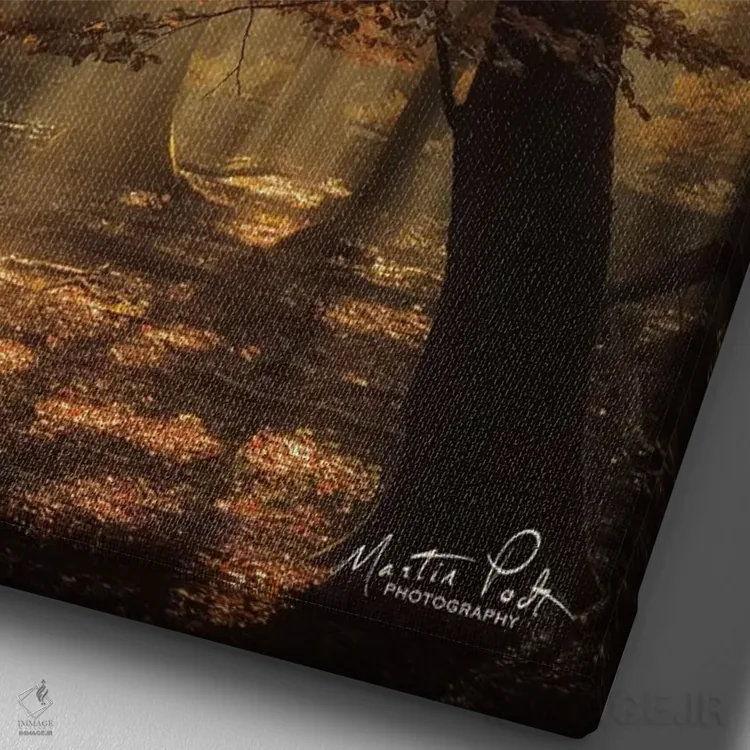 تابلو دکوراتیو چتر اثر مارتین پودت - نمای نزدیک بافت بوم