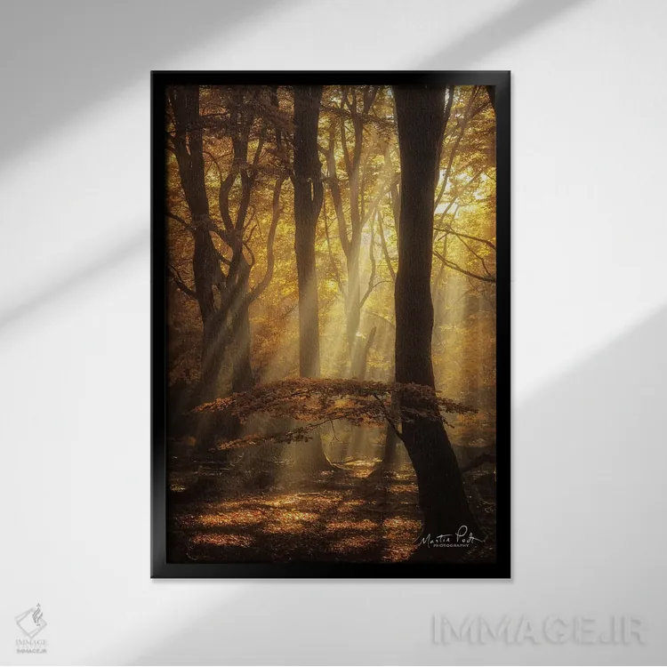 تابلو دکوراتیو چتر اثر مارتین پودت - نمای قابدار مشکی