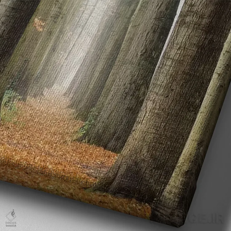 تابلو دکوراتیو کوچه باریک در هلند اثر مارتین پودت - نمای نزدیک بافت بوم