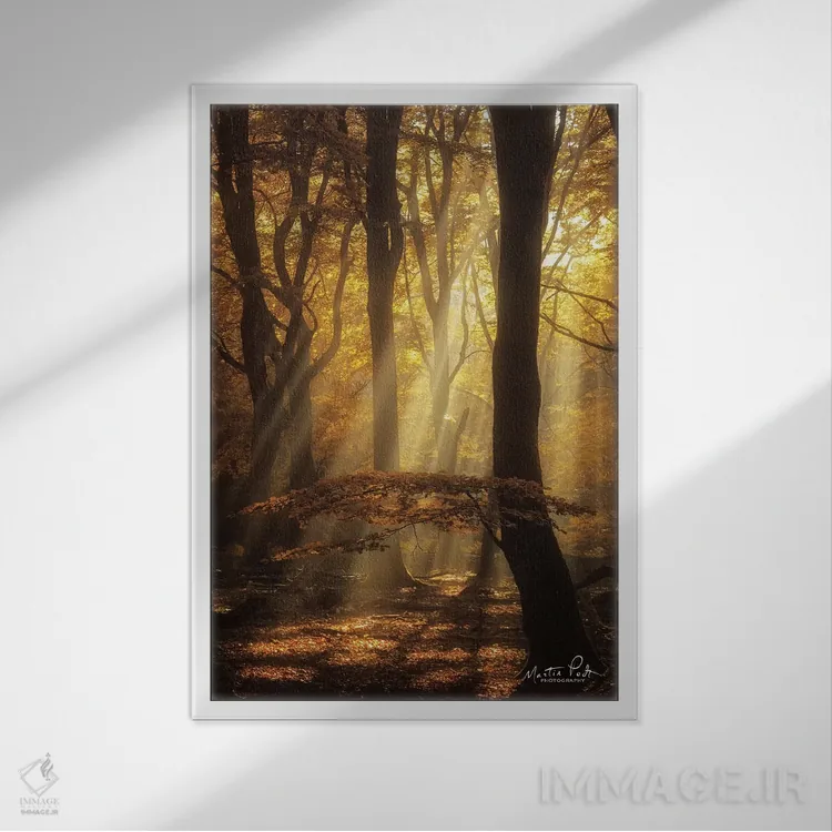 تابلو دکوراتیو چتر اثر مارتین پودت - نمای قابدار سفید