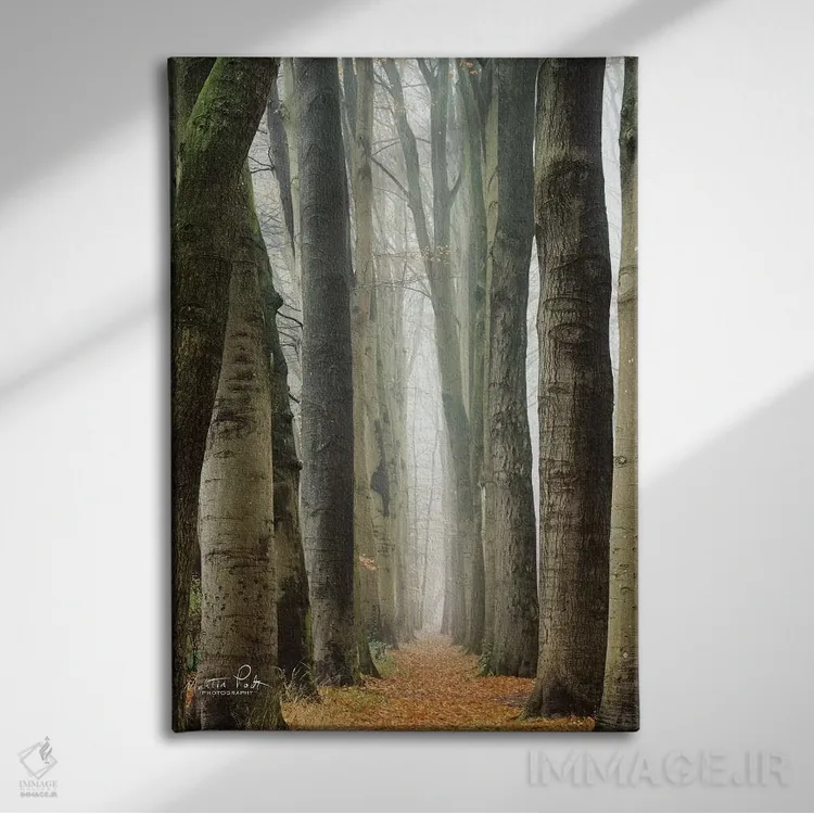 تابلو دکوراتیو کوچه باریک در هلند اثر مارتین پودت - نمای روبهرو روی دیوار