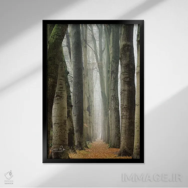 تابلو دکوراتیو کوچه باریک در هلند اثر مارتین پودت - نمای قابدار مشکی