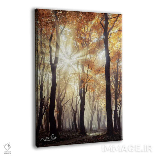 تابلو دکوراتیو انفجار اثر مارتین پودت - نمای پرسپکتیو محصول