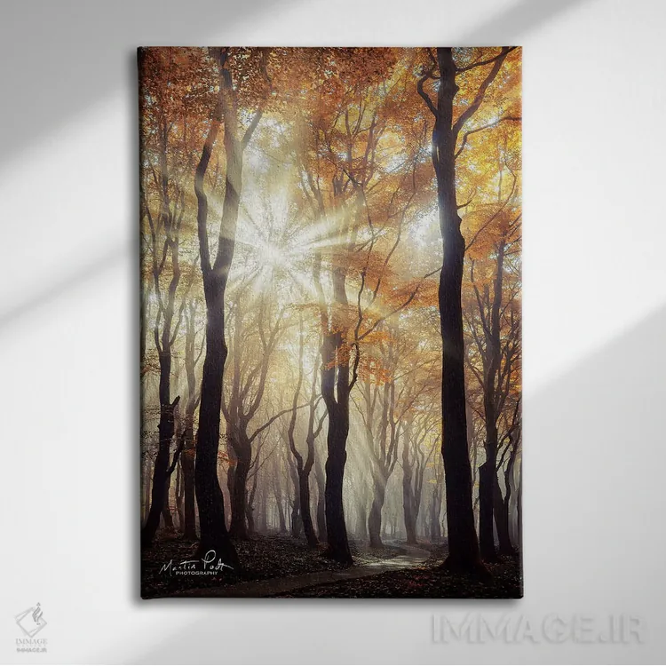 تابلو دکوراتیو انفجار اثر مارتین پودت - نمای روبهرو روی دیوار