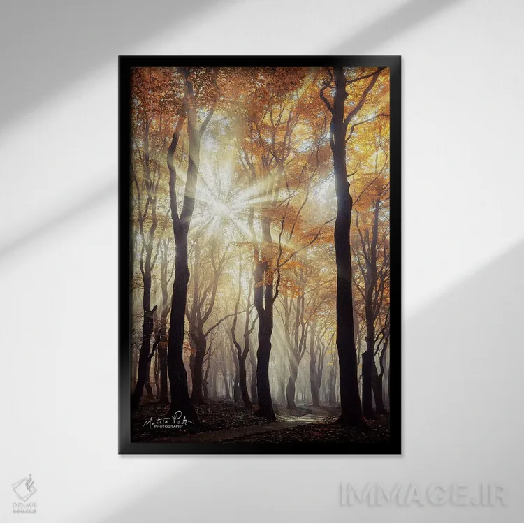 تابلو دکوراتیو انفجار اثر مارتین پودت - نمای قابدار مشکی