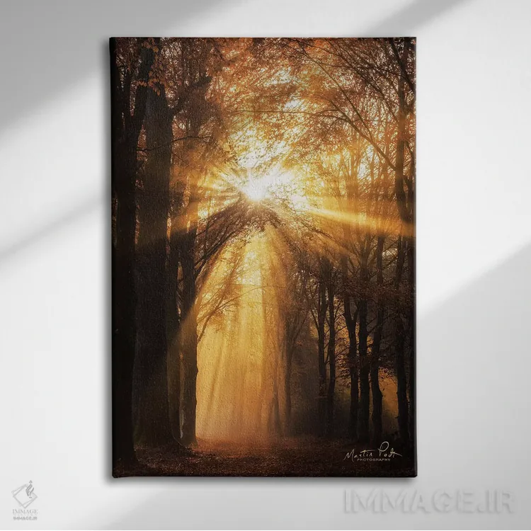 تابلو دکوراتیو پرتو خورشید اثر مارتین پودت - نمای روبهرو روی دیوار