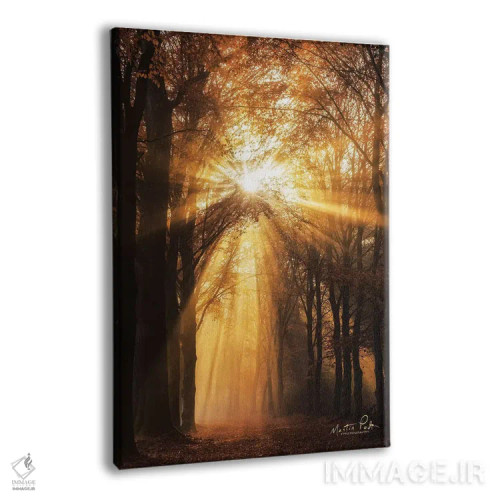 تابلو دکوراتیو پرتو خورشید اثر مارتین پودت - نمای پرسپکتیو محصول