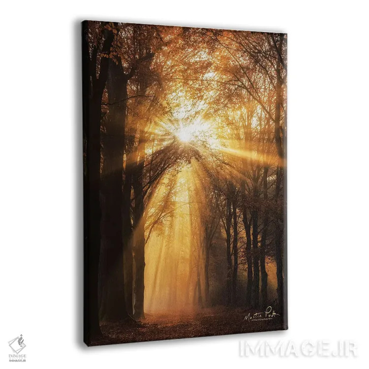تابلو دکوراتیو پرتو خورشید اثر مارتین پودت - نمای پرسپکتیو محصول